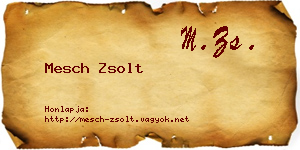 Mesch Zsolt névjegykártya